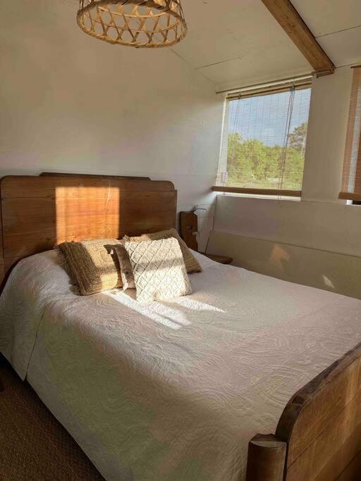 Cosy Cabane Boise Solaire, Balneo Bath Et Toilette Seche A La Ferme Mimizan-Plage Exterior foto